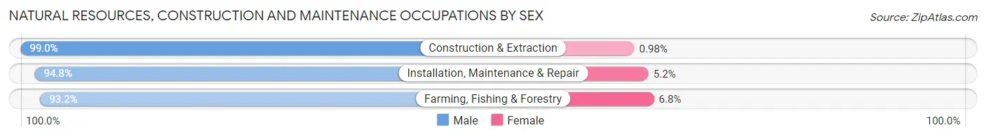 Natural Resources, Construction and Maintenance Occupations by Sex in Matagorda County