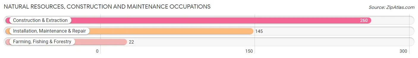 Natural Resources, Construction and Maintenance Occupations in McCulloch County