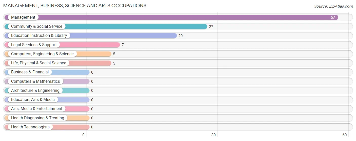 Management, Business, Science and Arts Occupations in McMullen County