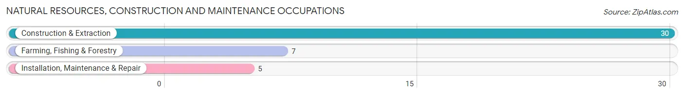Natural Resources, Construction and Maintenance Occupations in McMullen County