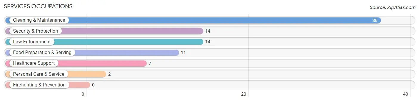 Services Occupations in McMullen County