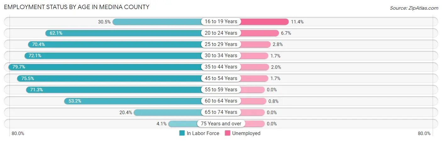 Employment Status by Age in Medina County