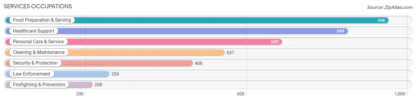 Services Occupations in Medina County