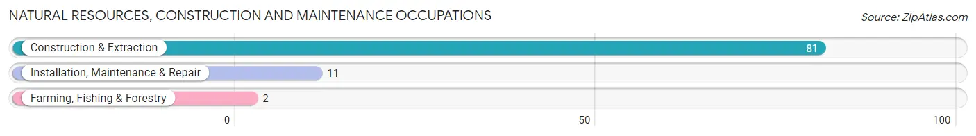 Natural Resources, Construction and Maintenance Occupations in Menard County