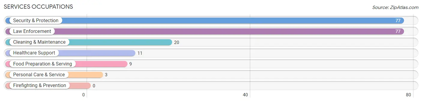 Services Occupations in Menard County