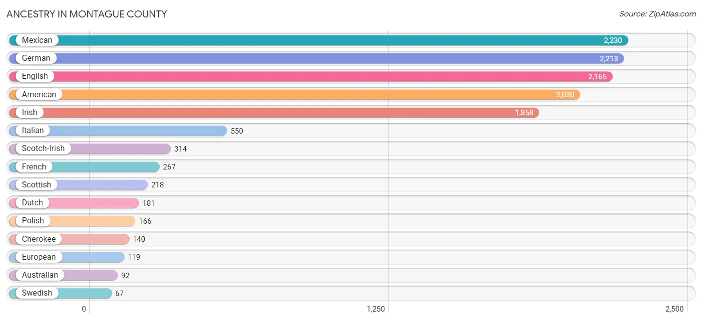 Ancestry in Montague County