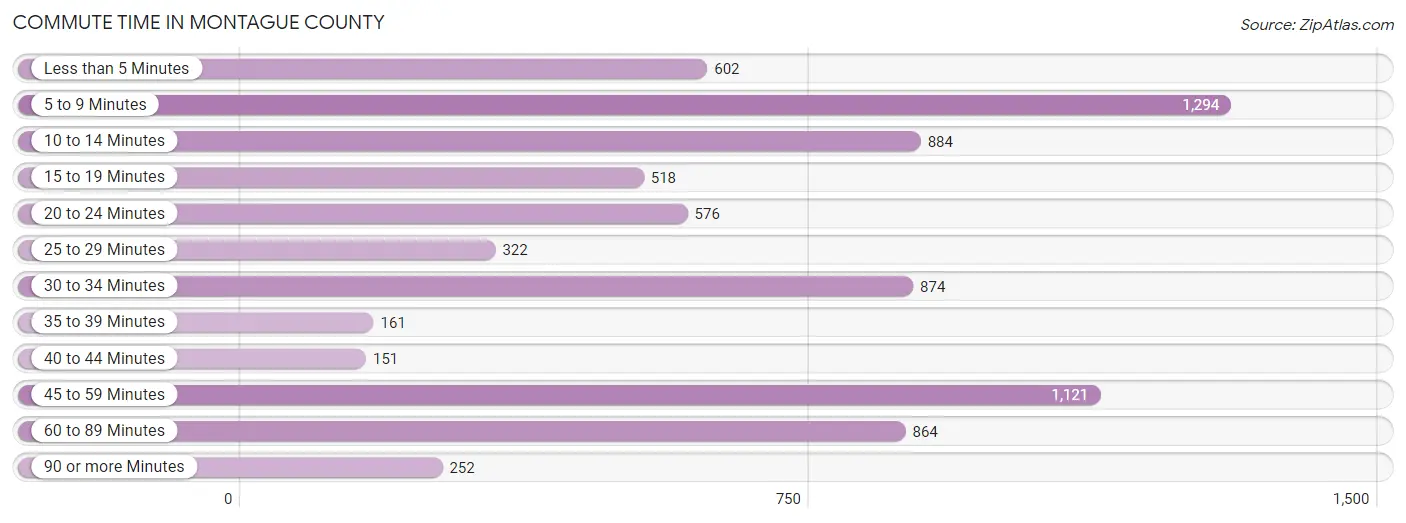 Commute Time in Montague County