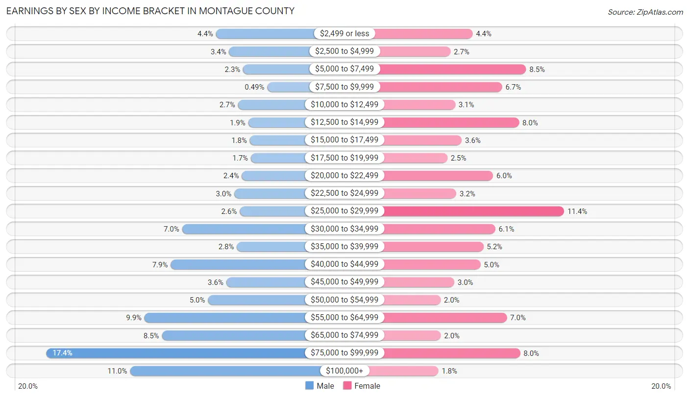Earnings by Sex by Income Bracket in Montague County