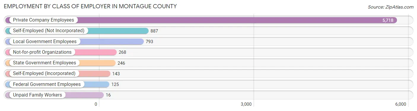 Employment by Class of Employer in Montague County