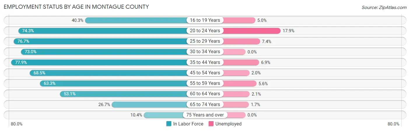 Employment Status by Age in Montague County