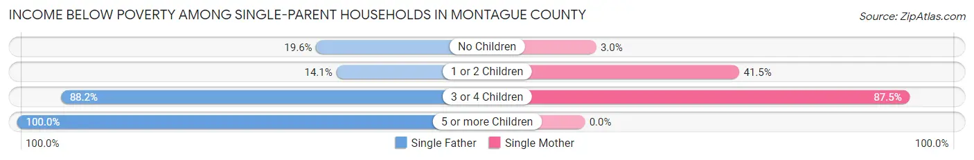 Income Below Poverty Among Single-Parent Households in Montague County