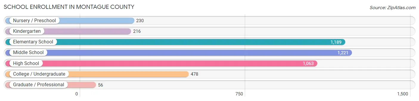 School Enrollment in Montague County