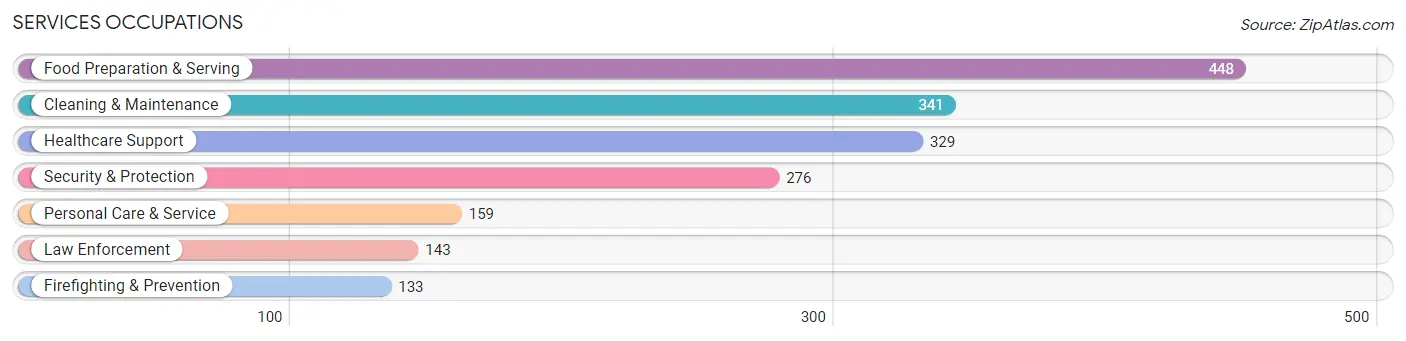 Services Occupations in Montague County