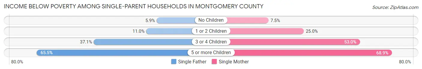 Income Below Poverty Among Single-Parent Households in Montgomery County