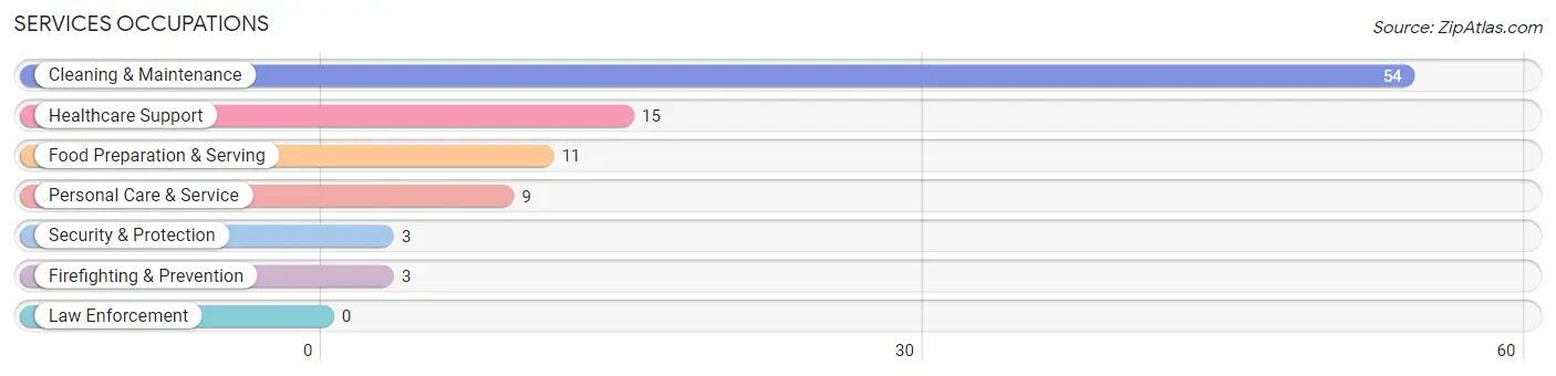 Services Occupations in Motley County