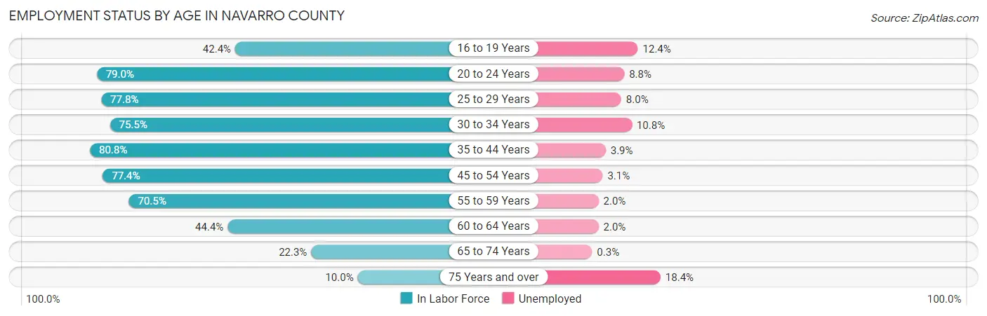 Employment Status by Age in Navarro County
