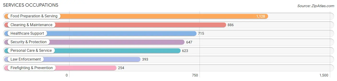 Services Occupations in Navarro County