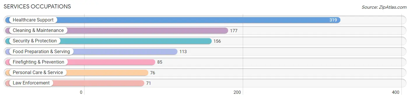 Services Occupations in Newton County