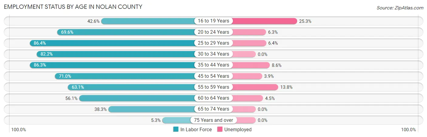 Employment Status by Age in Nolan County