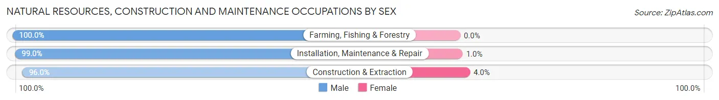 Natural Resources, Construction and Maintenance Occupations by Sex in Nolan County
