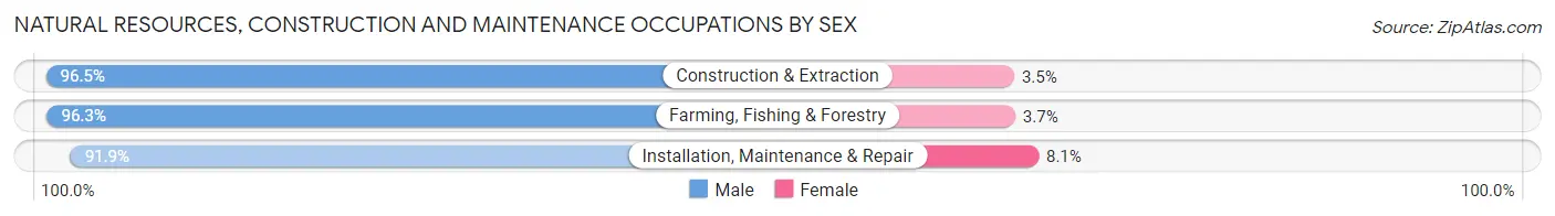 Natural Resources, Construction and Maintenance Occupations by Sex in Nueces County