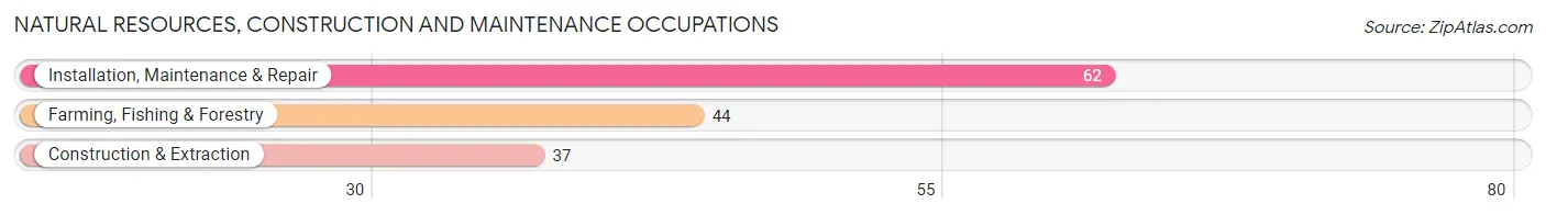 Natural Resources, Construction and Maintenance Occupations in Oldham County