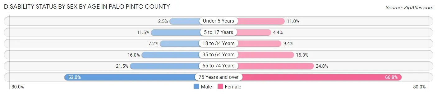 Disability Status by Sex by Age in Palo Pinto County