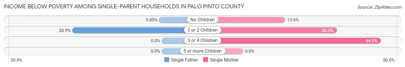 Income Below Poverty Among Single-Parent Households in Palo Pinto County