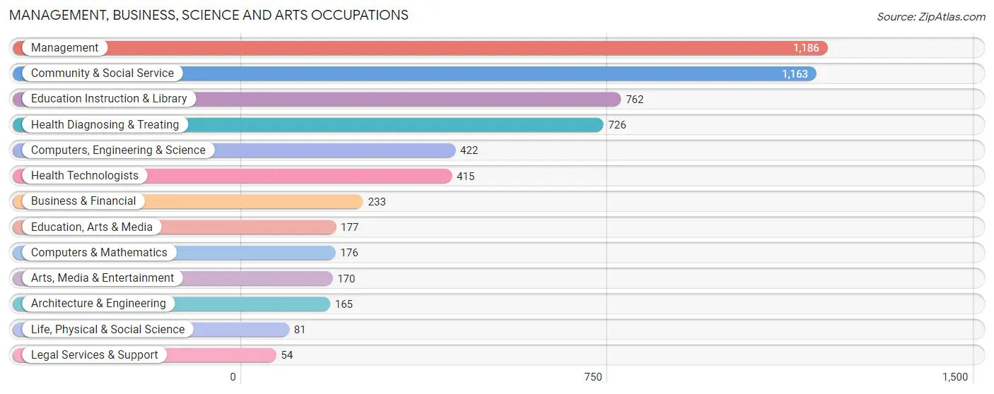 Management, Business, Science and Arts Occupations in Palo Pinto County