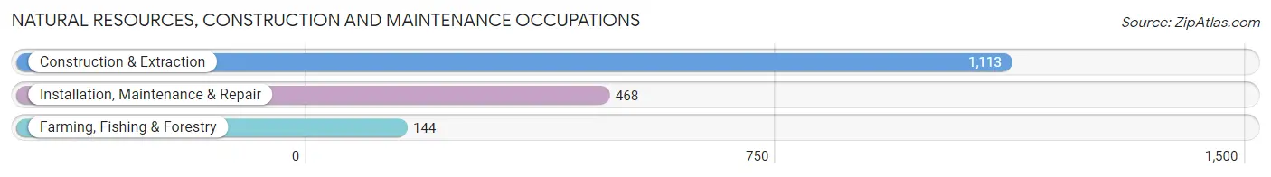 Natural Resources, Construction and Maintenance Occupations in Palo Pinto County