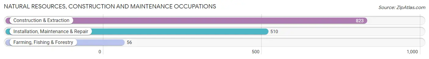 Natural Resources, Construction and Maintenance Occupations in Panola County