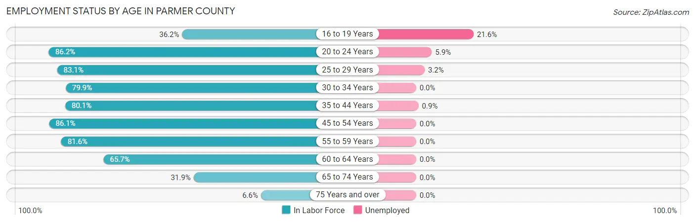 Employment Status by Age in Parmer County