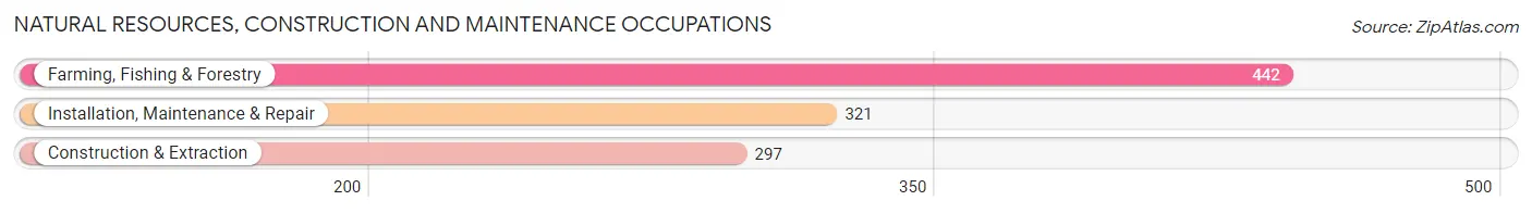 Natural Resources, Construction and Maintenance Occupations in Parmer County