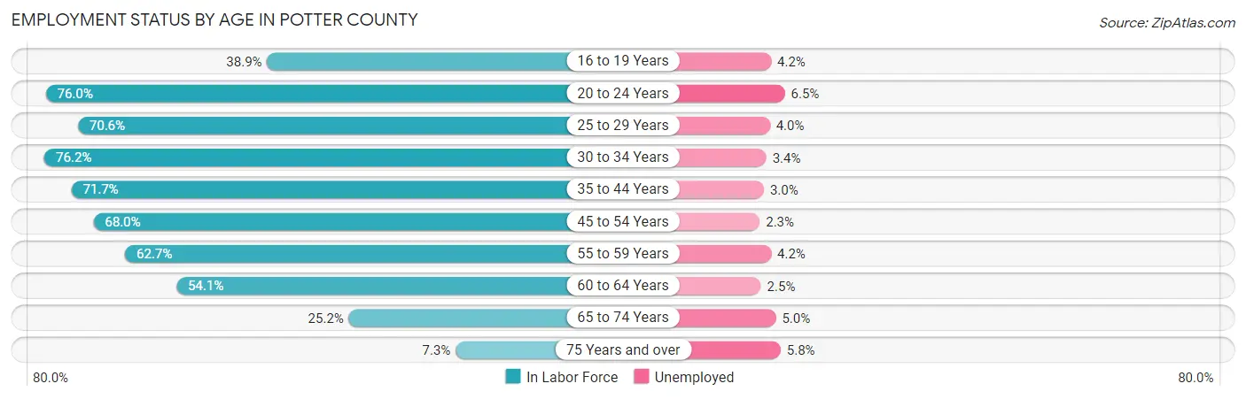 Employment Status by Age in Potter County