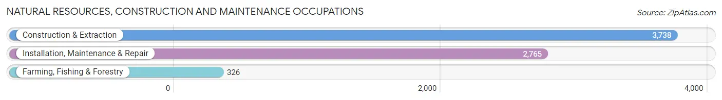 Natural Resources, Construction and Maintenance Occupations in Randall County