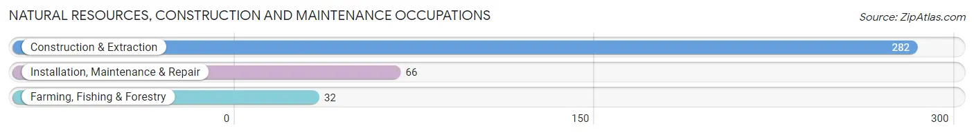 Natural Resources, Construction and Maintenance Occupations in Reagan County