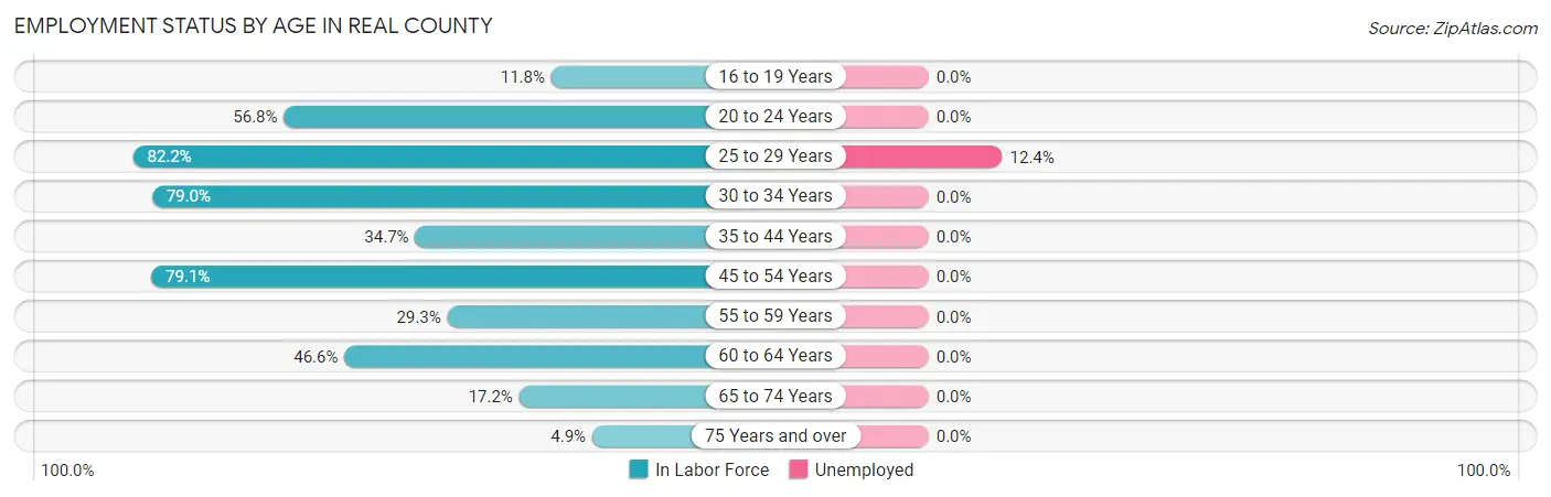 Employment Status by Age in Real County