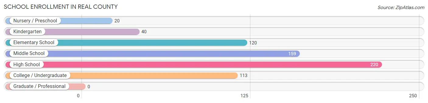 School Enrollment in Real County