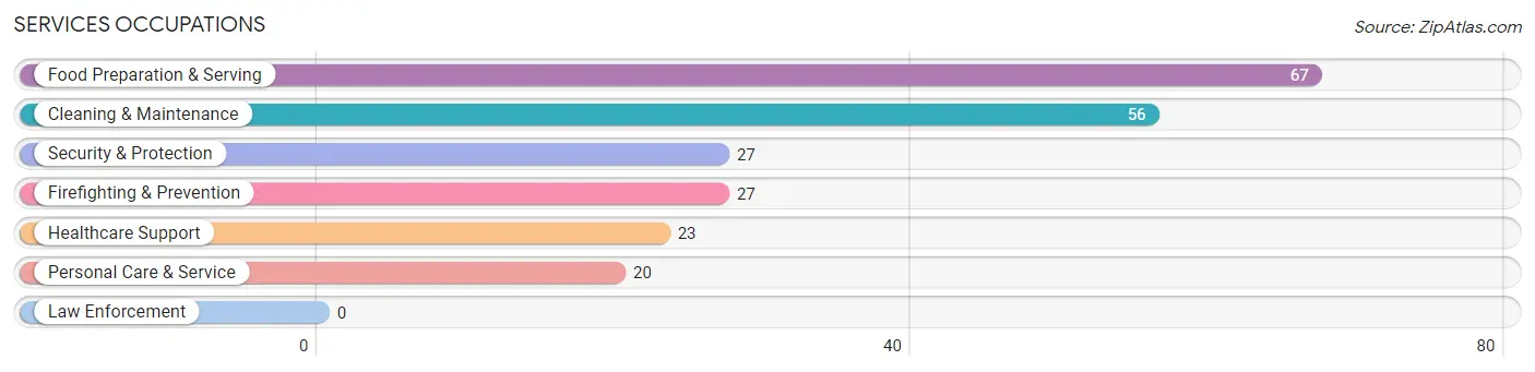 Services Occupations in Real County