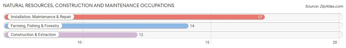 Natural Resources, Construction and Maintenance Occupations in Roberts County