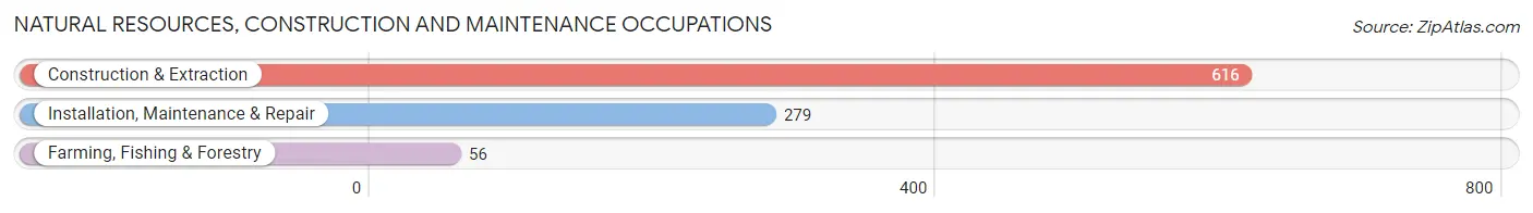 Natural Resources, Construction and Maintenance Occupations in Robertson County