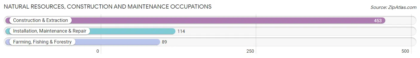 Natural Resources, Construction and Maintenance Occupations in Runnels County