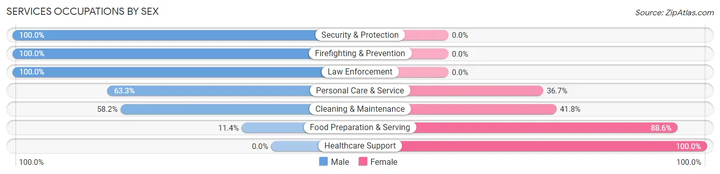 Services Occupations by Sex in San Augustine County