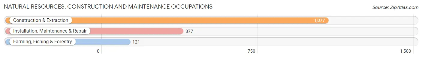 Natural Resources, Construction and Maintenance Occupations in San Jacinto County