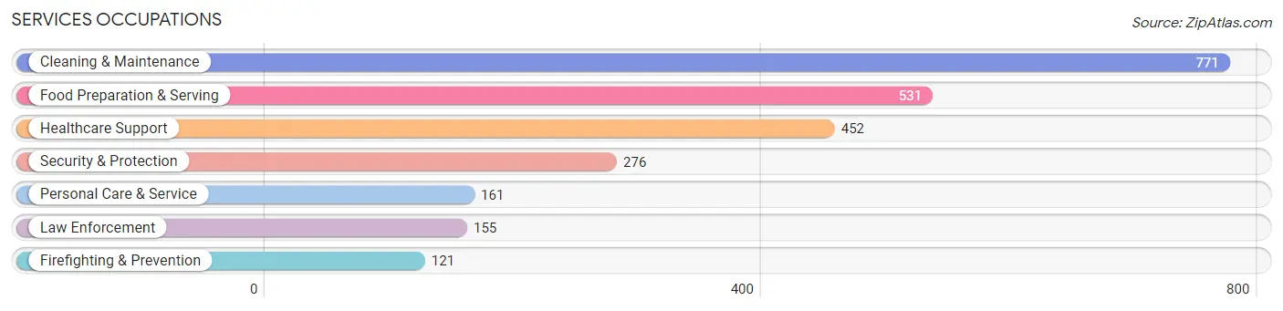 Services Occupations in San Jacinto County
