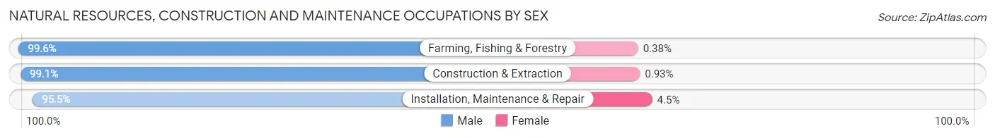 Natural Resources, Construction and Maintenance Occupations by Sex in San Patricio County