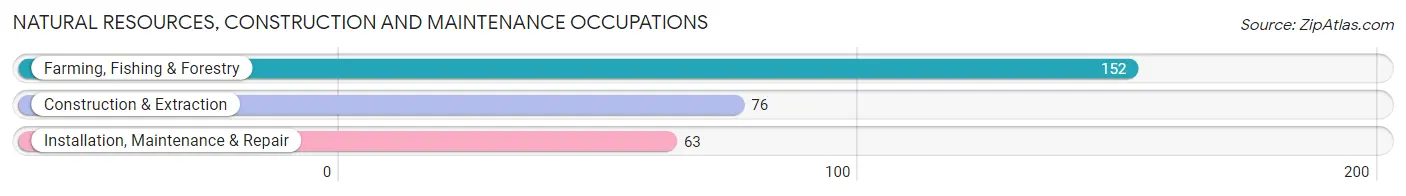 Natural Resources, Construction and Maintenance Occupations in San Saba County
