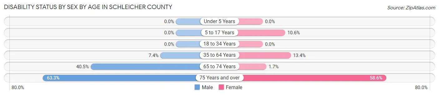 Disability Status by Sex by Age in Schleicher County