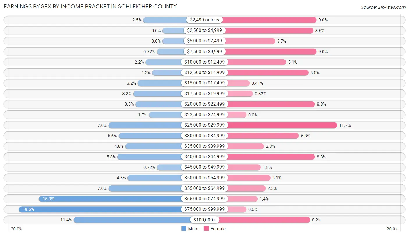 Earnings by Sex by Income Bracket in Schleicher County