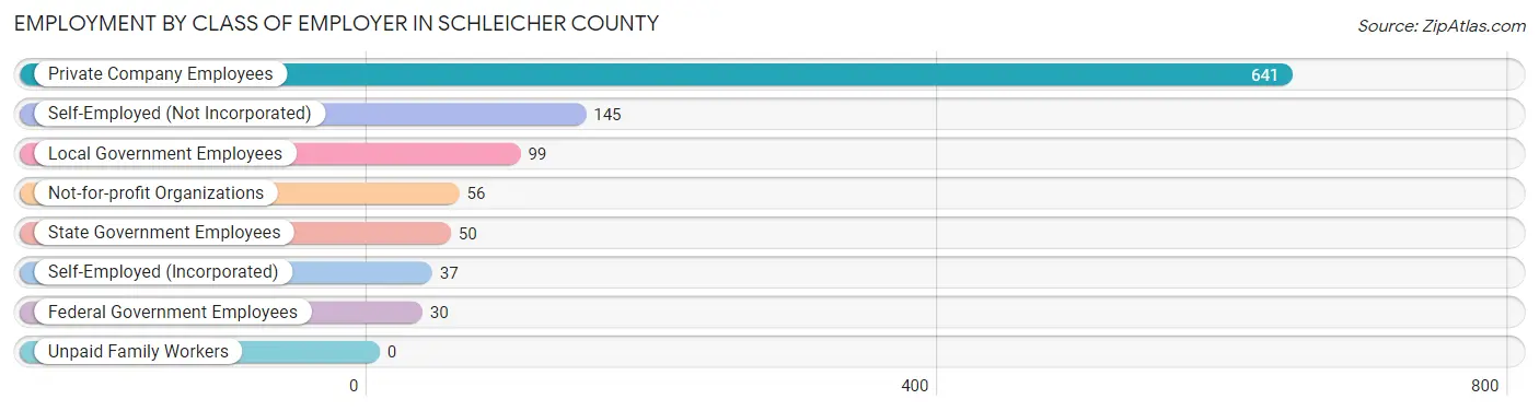 Employment by Class of Employer in Schleicher County